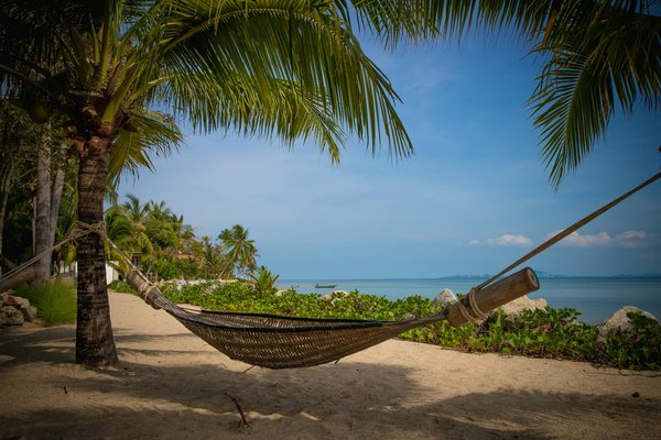 Découvrez le vail hautrail : randonnées et aventures uniques