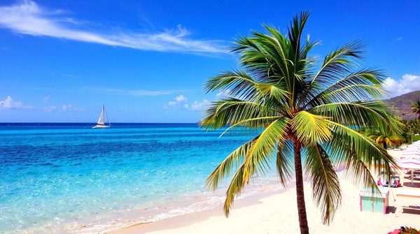 Locations de vacances à saint-barth : explorez vos options !